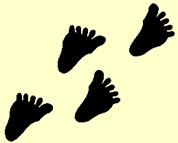 feet(small)